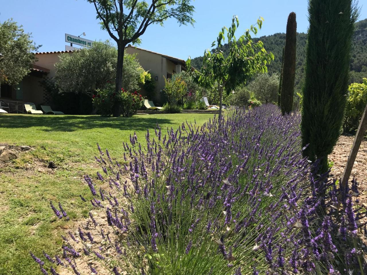 Le Grand Jardin Bed & Breakfast Lafare Eksteriør bilde