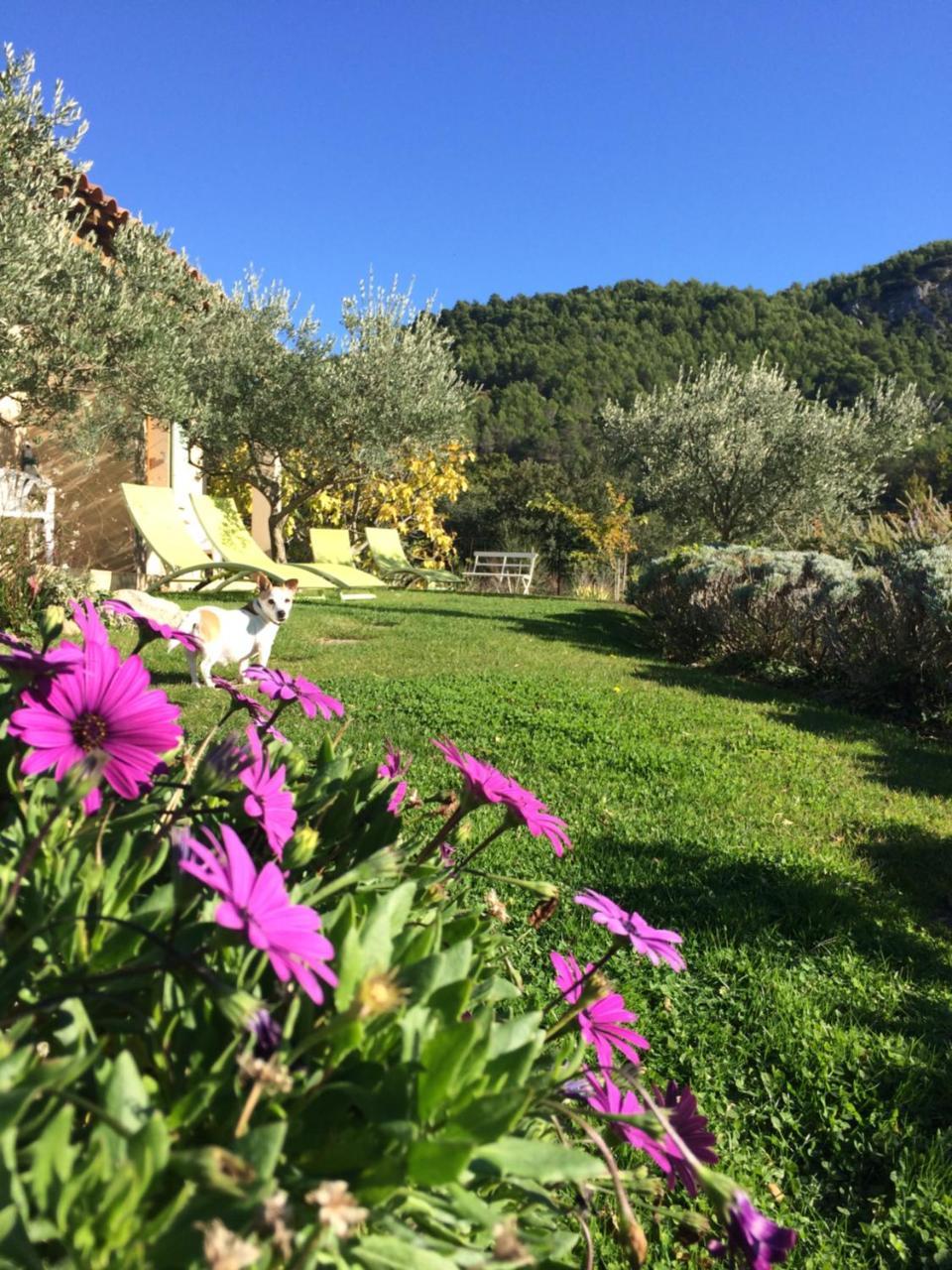 Le Grand Jardin Bed & Breakfast Lafare Eksteriør bilde
