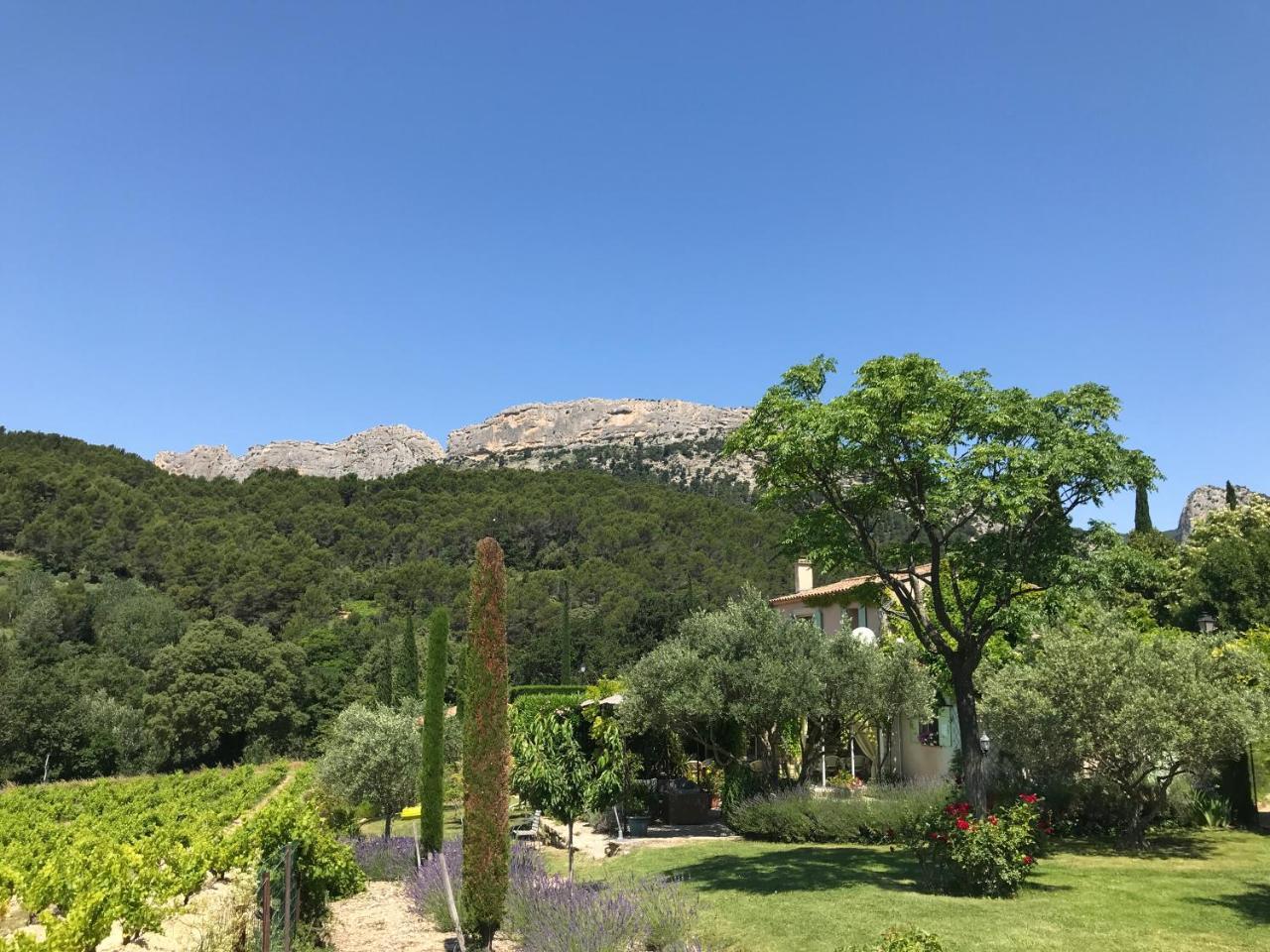 Le Grand Jardin Bed & Breakfast Lafare Eksteriør bilde